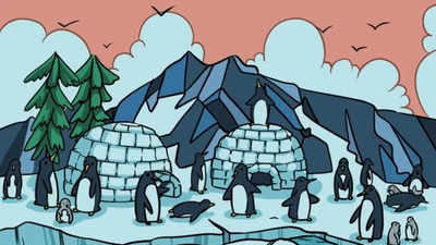 Optical illusion: Only those with 20/20 vision can spot the Seal hidden among Penguins in just 5 seconds