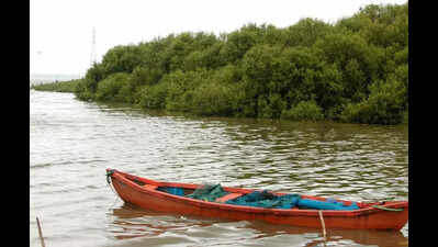 Body found in Mumbai’s Gorai jetty