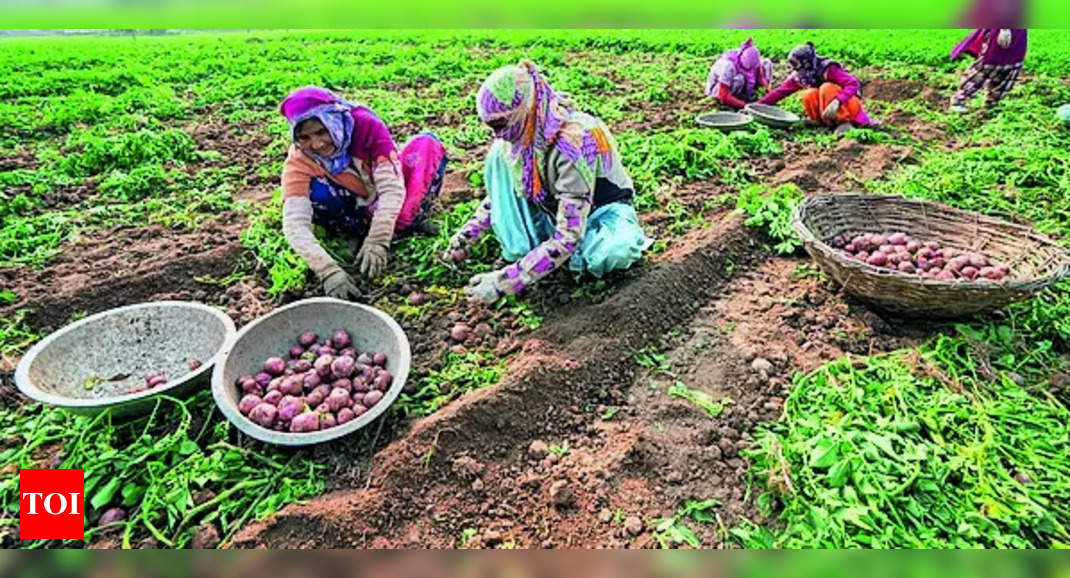 Land disputes, smaller farm sizes hindering growth of farmers in state