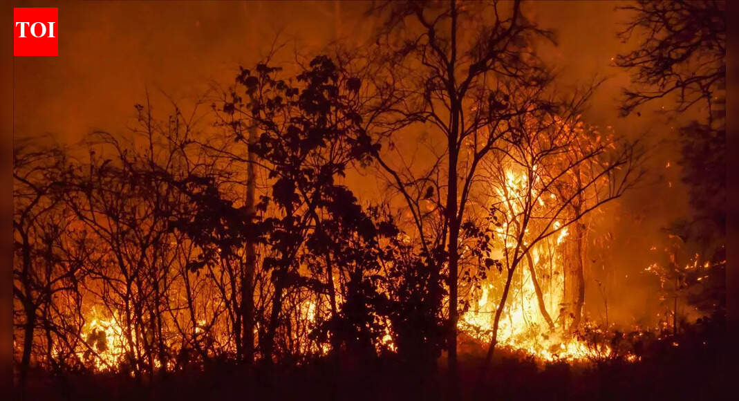 7 deadliest wildfires in human history