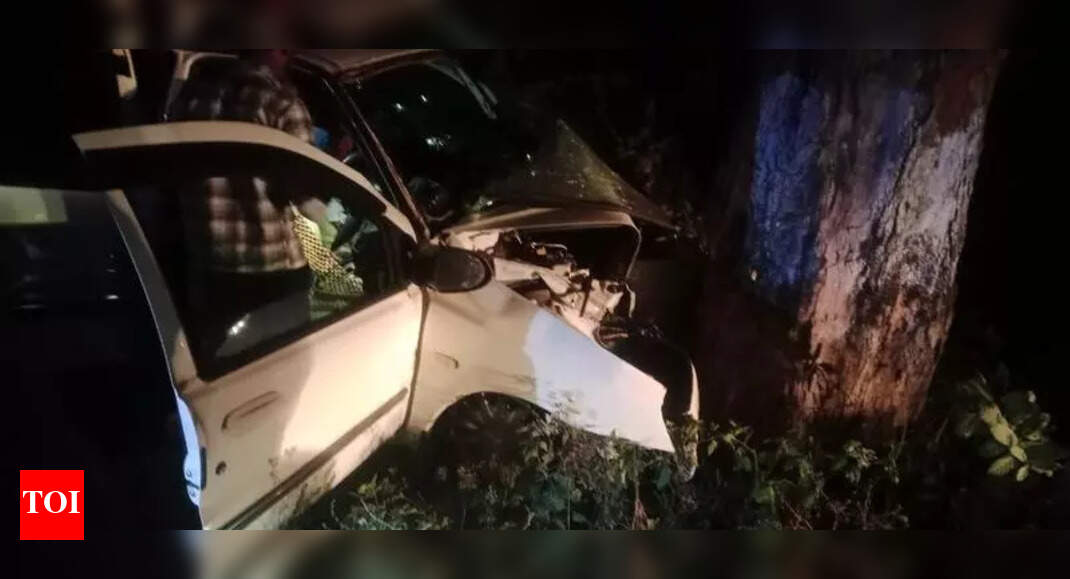 Two killed, three injured as car hits roadside tree in Coimbatore ...