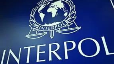 Interpol issues first-ever 'Silver Notice' to track laundered assets