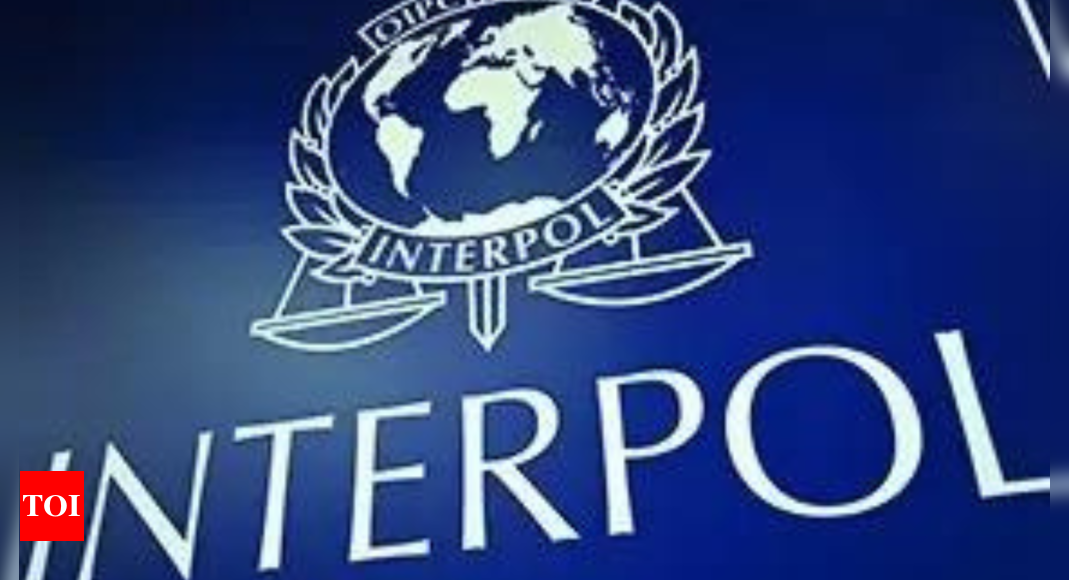 Interpol issues first-ever 'Silver Notice' to track laundered assets