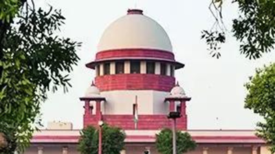 Need to club all suits on Mathura shrine dispute: Supreme Court