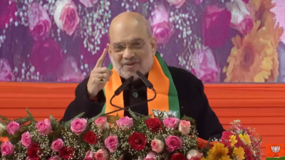 'Mandir banane se kya hoga ... ': Amit Shah mocks Kejriwal; watch video