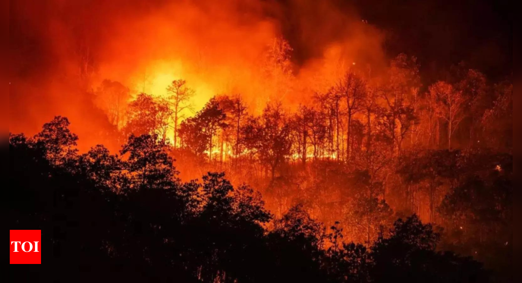 From backyard of Palisades Highlands: How the devastating LA wildfire started