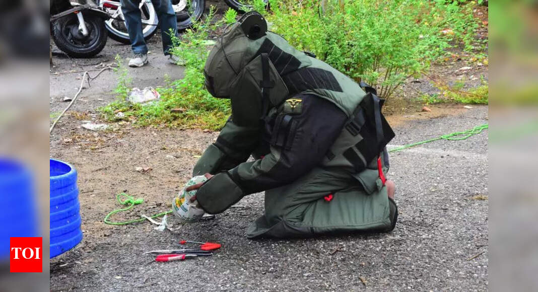 Seven crude bombs defused in Ganjam dist | Bhubaneswar News - The Times ...