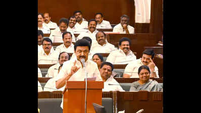 TN developed because of Dravidian ideology: Stalin | Chennai News - The ...