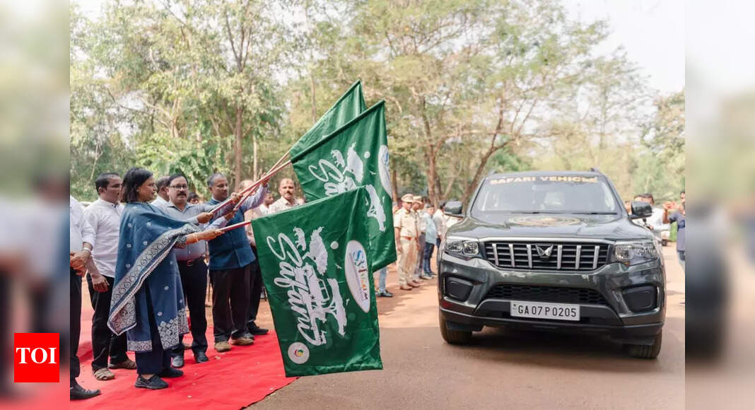 Mainapi, Savari waterfalls get safari tours, cottages | Goa News - The ...