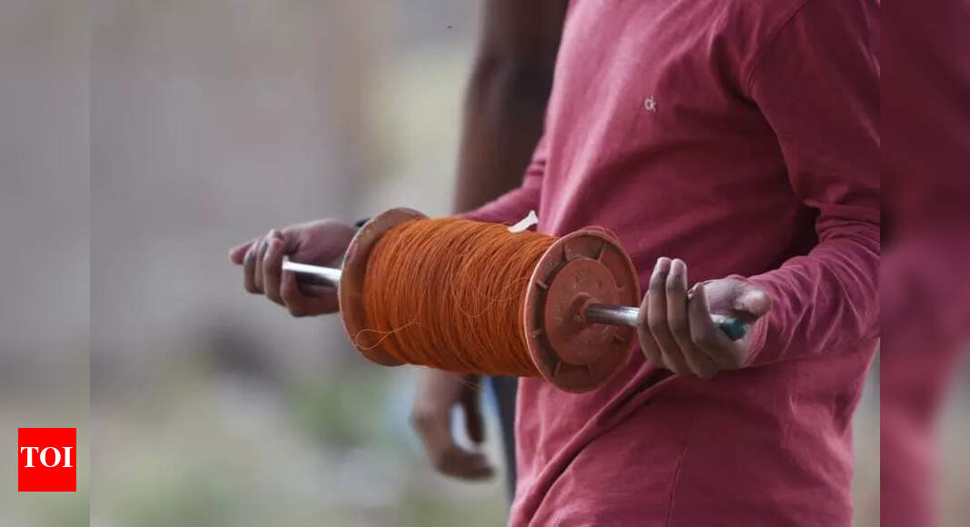 Birds face nylon manja-related injuries ahead of Makar Sankranti ...