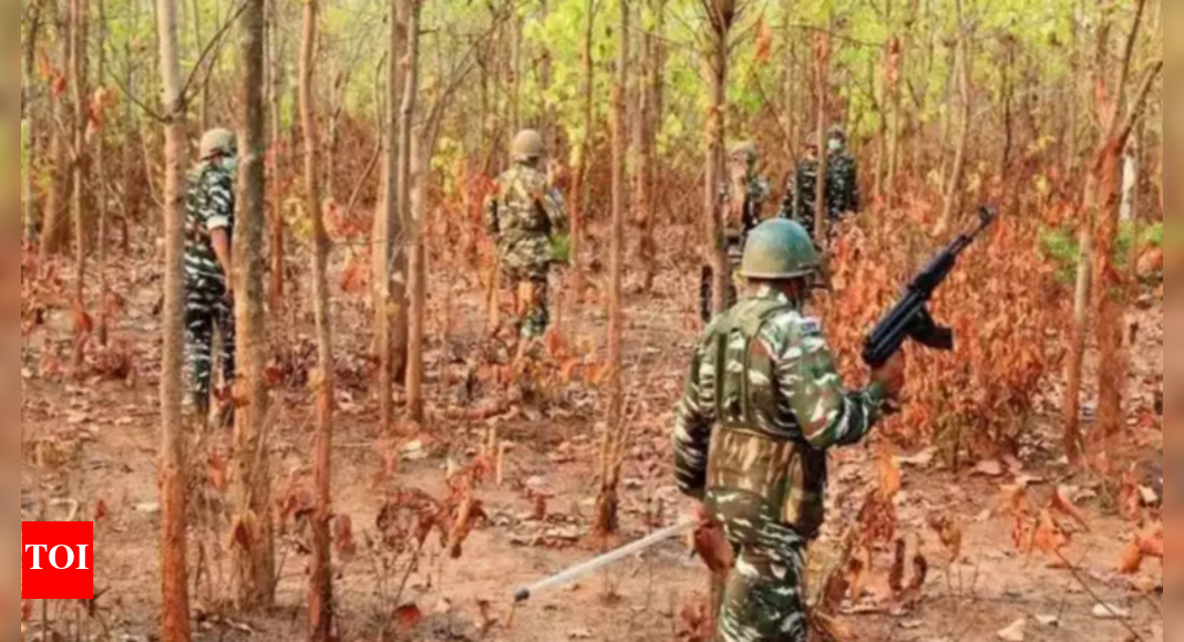 3 Maoists killed in encounter with security forces in Chhattisgarh's Bijapur