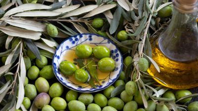 Beyond Olive Oil: How olive leaf extract can boost your health