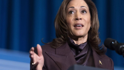 Burglary attempt at Kamala Harris' Brentwood home as massive looting reported amid LA fires