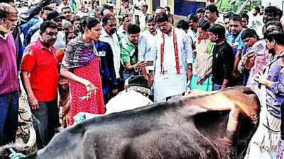 Tension in Bengaluru's Chamarajapet after miscreants mutilate 3 cows; govt seeks police report