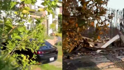  Before and after videos of Pacific Palisades show trail of destruction caused by California wildfire