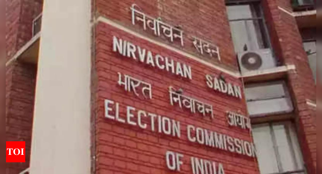 Delhi polls: Items worth Rs 21cr seized within a week of MCC implementation