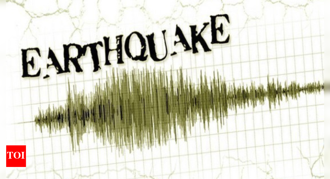 6.9 magnitude earthquake hits southwestern Japan, tsunami advisory issued – Times of India