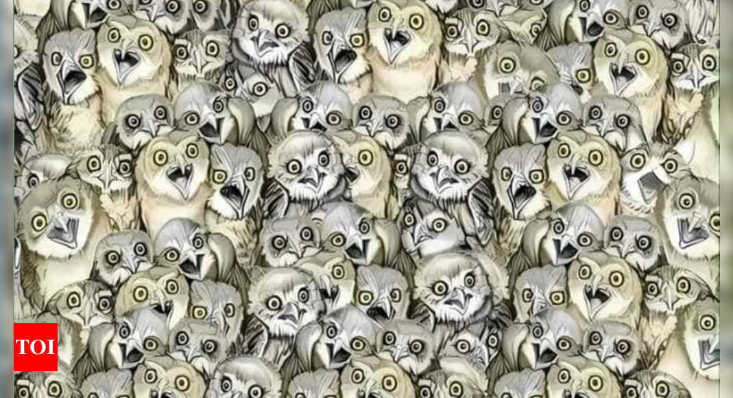 Optical Illusion: Can you spot a hidden cat among owls in this picture?