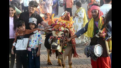 Special rituals mark Bhogi celebrations across state