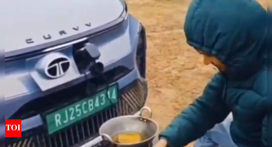 Only in India: Man uses EV car battery to fry kachoris, sparks viral reactions