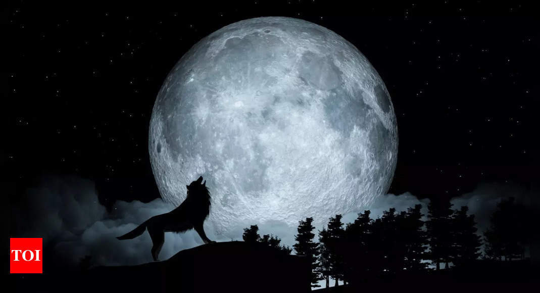 ​Wolf Moon 2025: When and where to see the first full moon of the year