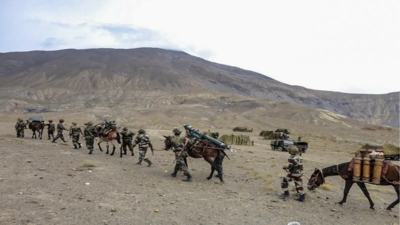 100 years on, mules remain Army’s logistics backbone in remote border areas despite modernisation