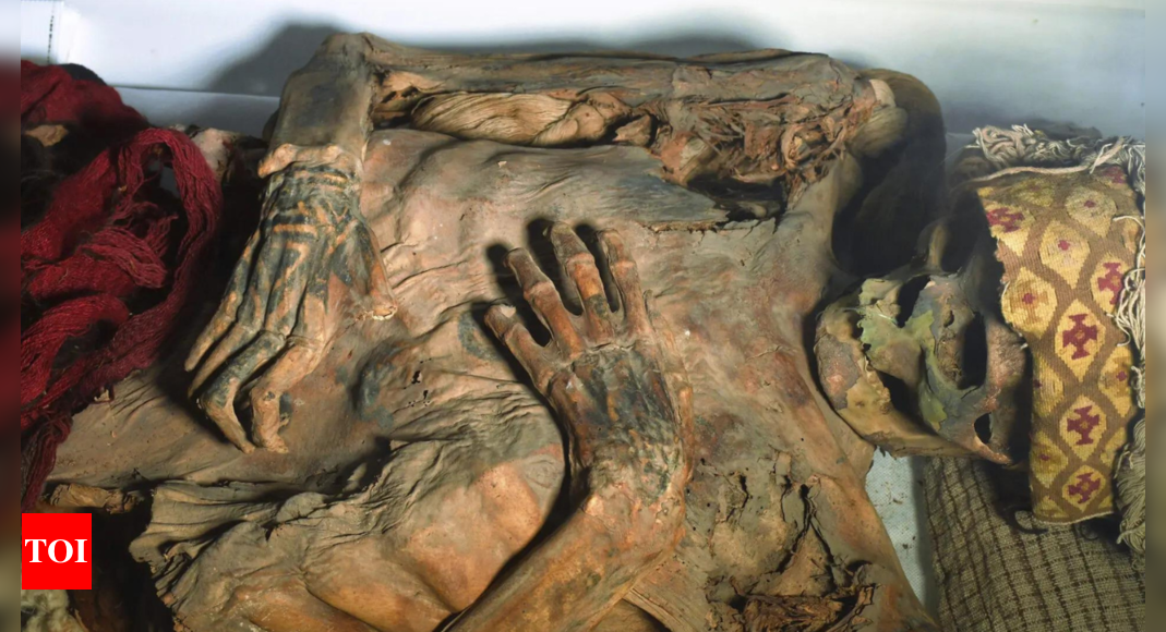 Lasers assist archaeologists research historic tattoos on Peruvian mummies – Times of India