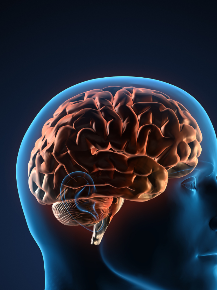 7 tips to keep your memory sharp at any age | Times of India
