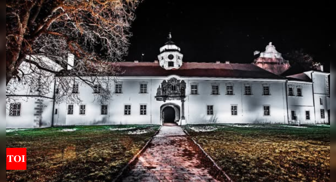 Elon Musk's new European HQ to be a Polish castle?