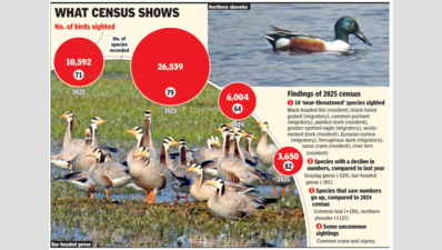 Birds deserting Najafgarh Jheel? At 3.6k, count of birds at wetland falls to lowest since census began in 2022