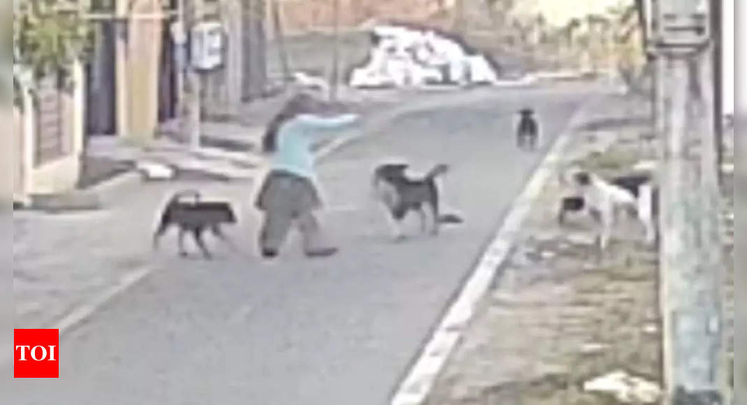 Disturbing video warning: Out for morning walk, woman attacked, mauled and dragged by pack of stray dogs in Jalandhar