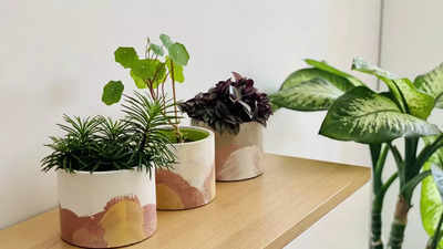 Planters For Indoor Plants: Beautiful Picks To Enhance The Interiors Of Your Space