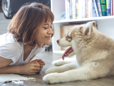 What happens when you lock eyes with your dog: Surprising love hormone connection revealed