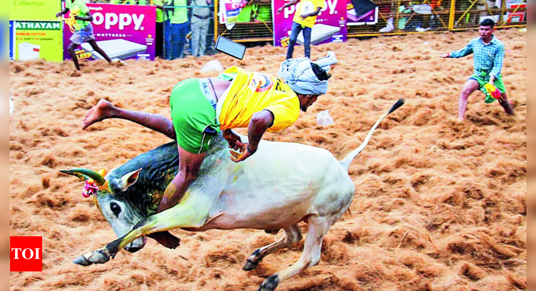 Bull tamer gored to death, 75 hurt at Avaniyapuram jallikattu