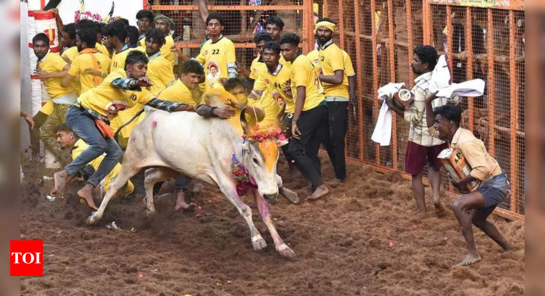 Bull tamer dies at Madurai jallikattu event