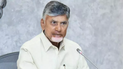 Andhra CM Naidu set to bar netas with less than 2 kids from contesting local polls