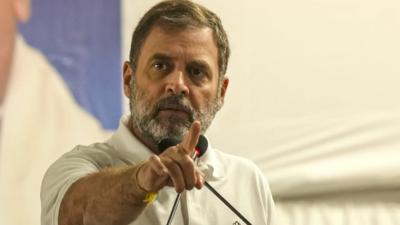 Bhagwat's 'true independence' remark akin to treason: Rahul Gandhi