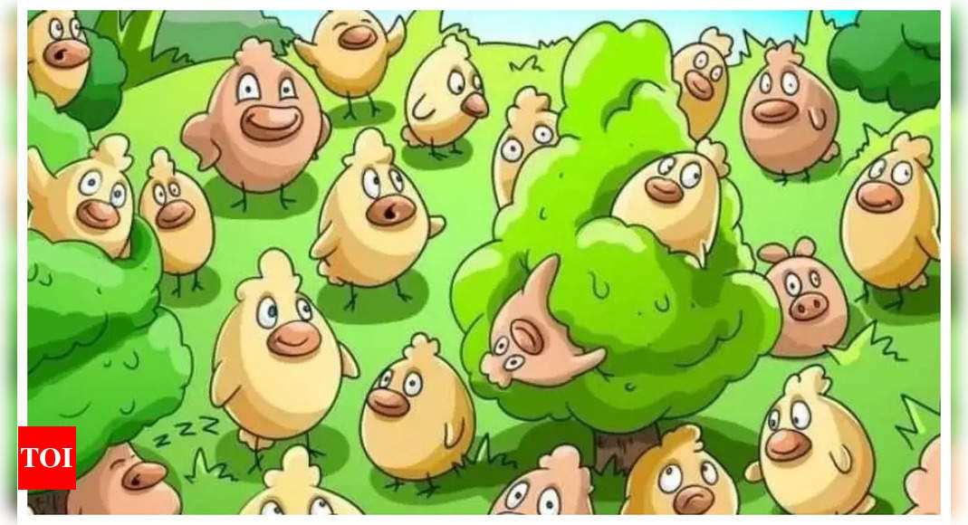 Brain teaser: Only a genius can find the pig in the flock in just 7 seconds