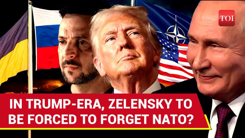Trump To Meet Putin, Will Discuss Ukraine's NATO Membership And Peace ...