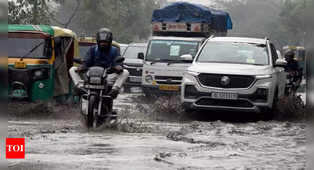 Delhi's GRAP causes widespread chaos and hardship.