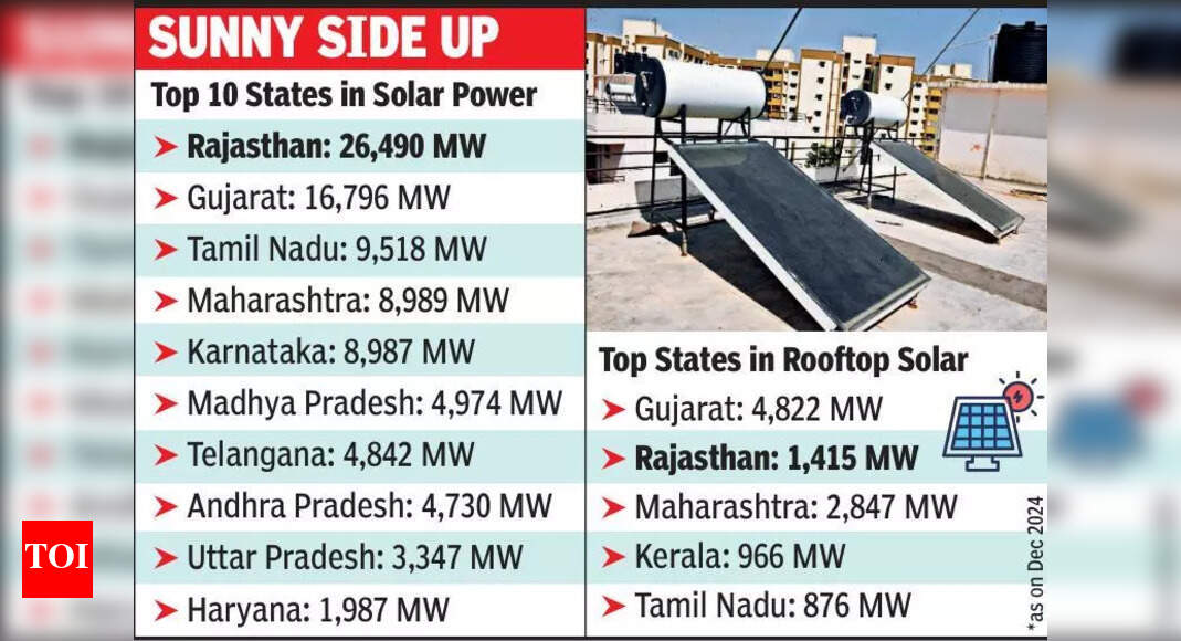 Raj builds on solar power in ’24 but struggles in rooftop segment ...