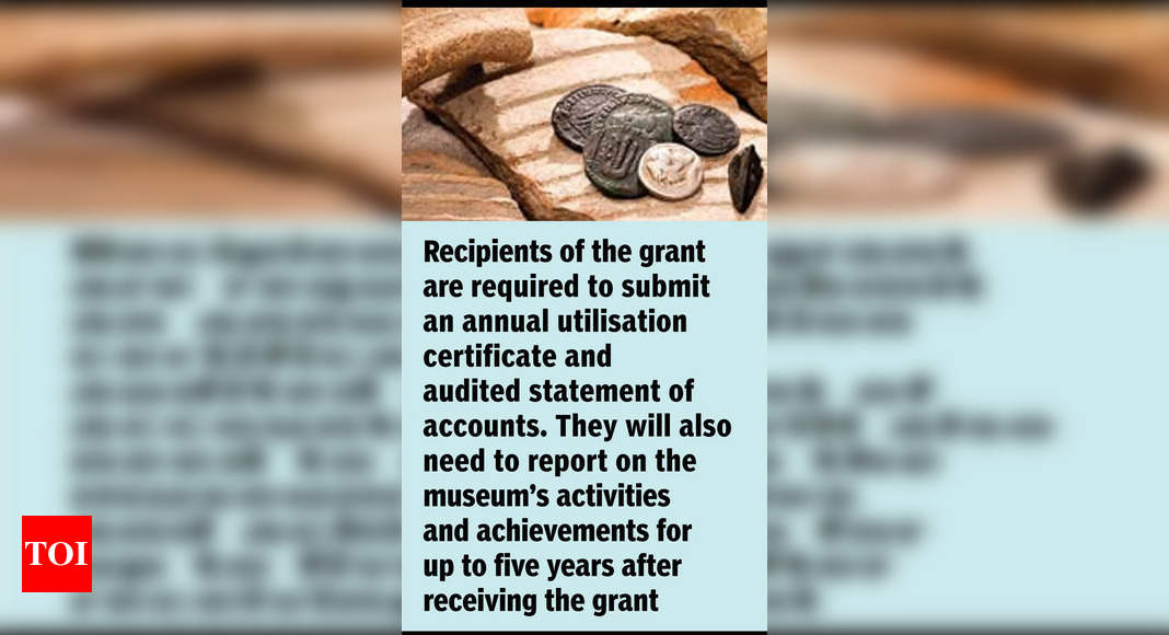 Govt launches scheme for financial aid to museums