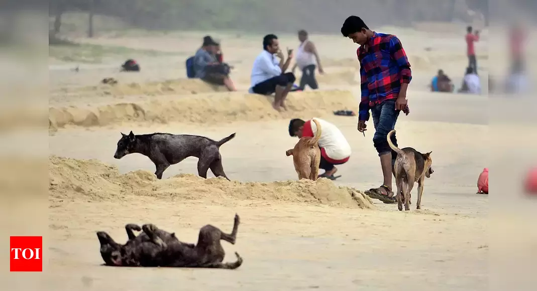 ‘Goa home to about 56,000 stray dogs’