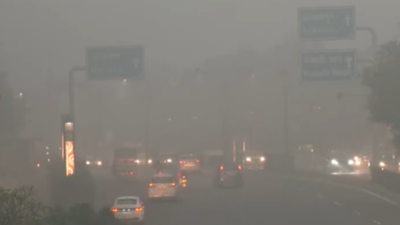 Delhi weather: 27 trains running late, several flights delayed due to fog