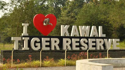 Telangana: Jungle safari launched at Kawwal Tiger Reserve to promote eco-tourism and conservation