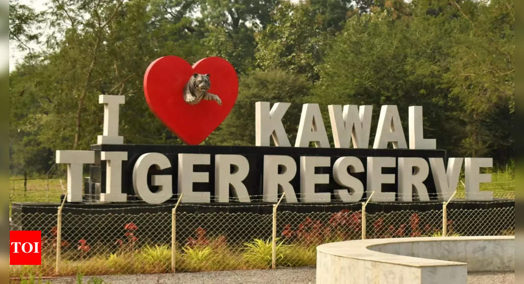 Telangana: Jungle safari launched at Kawwal Tiger Reserve to promote eco-tourism and conservation |