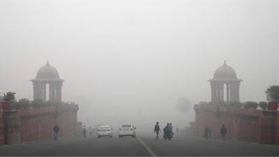 GRAP 3 curbs revoked in Delhi-NCR amid dip in pollution