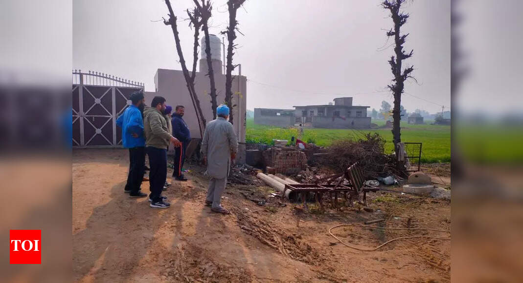 Now, stray dogs attack and kill 2 calves in Hassanpur | Ludhiana News ...