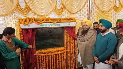 Mohali to get new 5-acre grain market in Saneta village