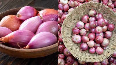 Shallot vs onion: Which one is healthier